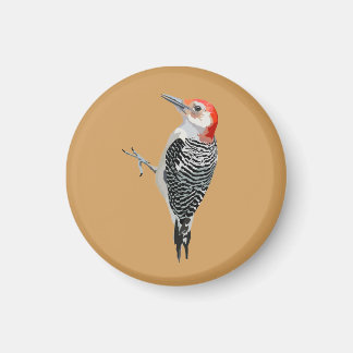 Red-bellied Woodpecker Magnet