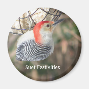 Red-bellied Woodpecker magnet