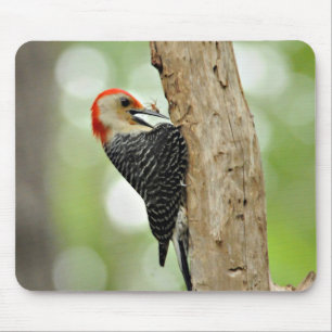 Red-Bellied Woodpecker Mouse Pad