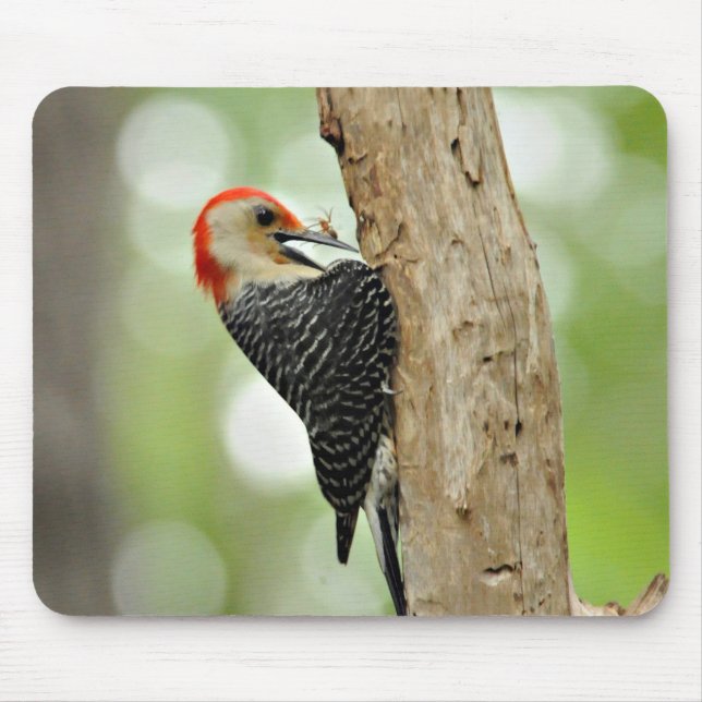 Red-Bellied Woodpecker Mouse Pad (Front)