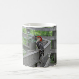 Red-bellied woodpecker mug