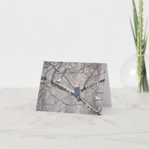 Red Bellied Woodpecker Notecard - Blank Inside