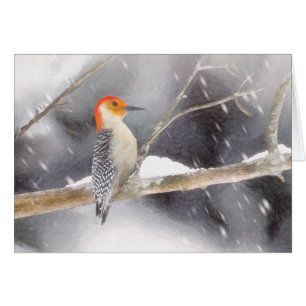 Red-Bellied Woodpecker Painting Original Bird Art