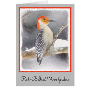 Red-Bellied Woodpecker Painting Original Bird Art