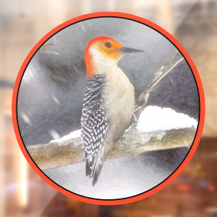 Red-Bellied Woodpecker Painting Original Bird Art
