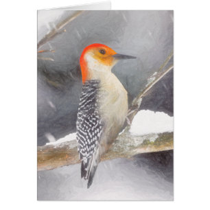 Red-Bellied Woodpecker Painting Original Bird Art