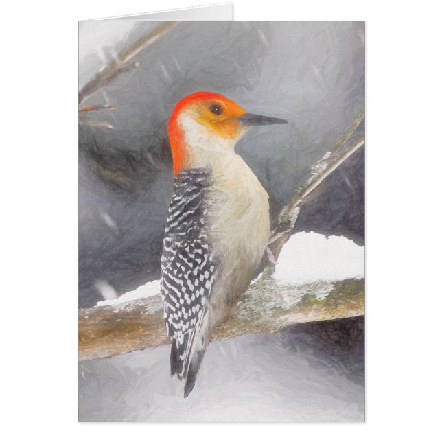 Red-Bellied Woodpecker Painting Original Bird Art (Front)