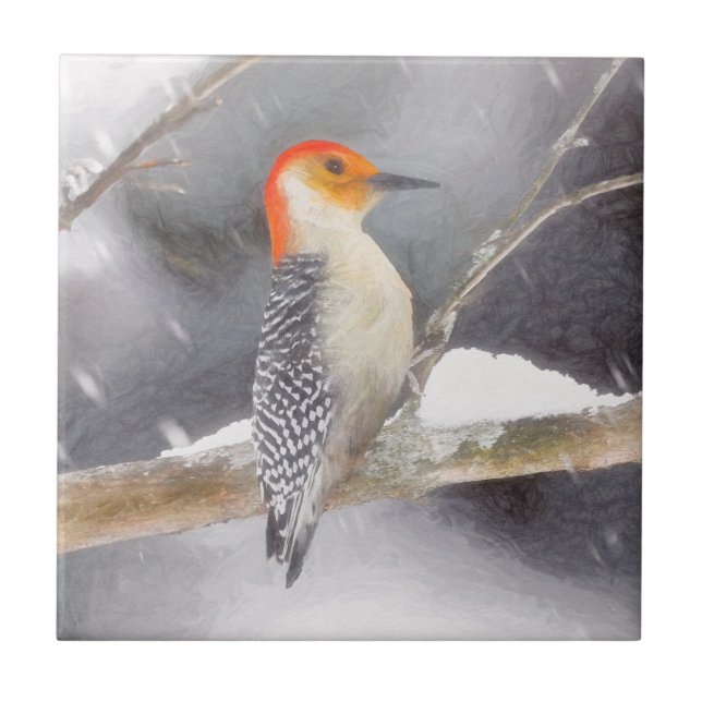 Red-Bellied Woodpecker Painting Original Bird Art Ceramic Tile (Front)