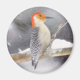 Red-Bellied Woodpecker Painting Original Bird Art Magnet