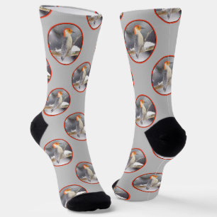 Red-Bellied Woodpecker Painting Original Bird Art Socks
