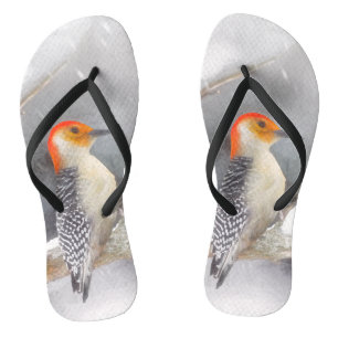 Red-Bellied Woodpecker Painting Original Bird Art Thongs