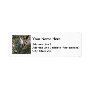 Red-bellied Woodpecker Return Address Label