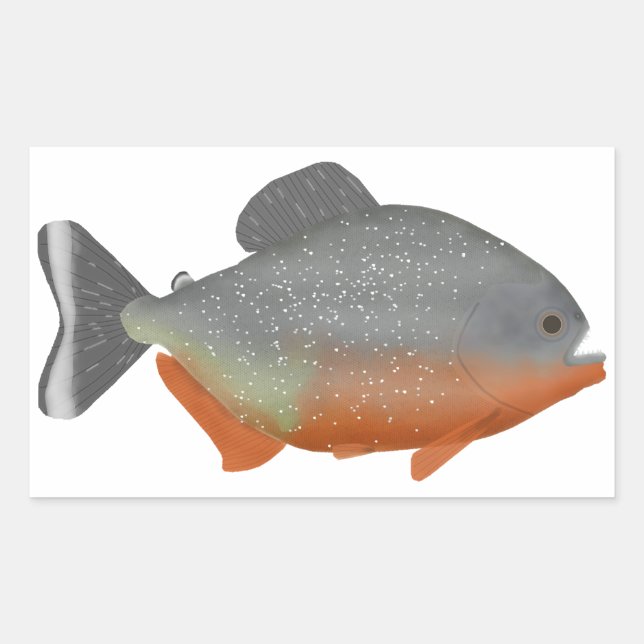 Red Belly Piranha Rectangular Sticker (Front)