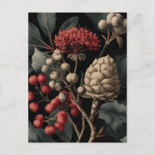 Red Berries and Exotic Seed Pods on Black Holiday Postcard