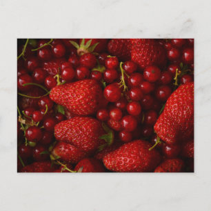 Red Berries and Strawberries Postcard