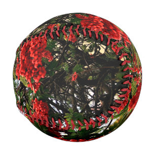 Red berries baseball