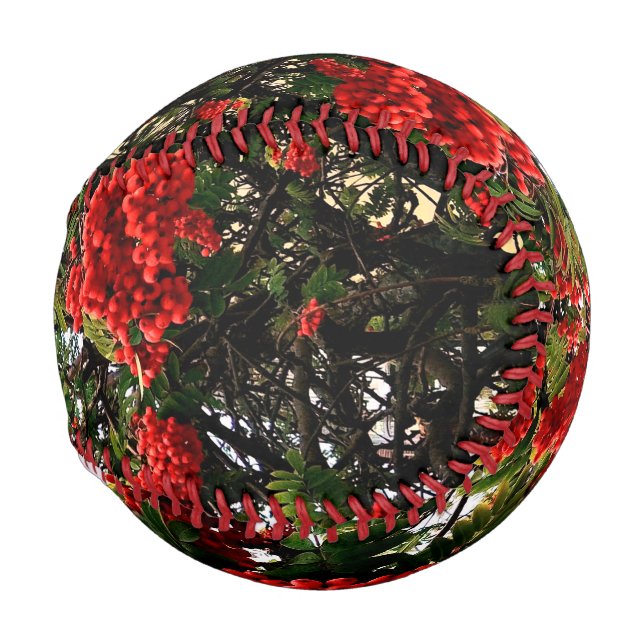 Red berries baseball (Front Right)