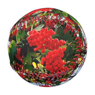 Red berries baseball