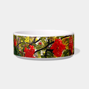 Red berries bowl
