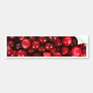 Red Berries Bumper Sticker