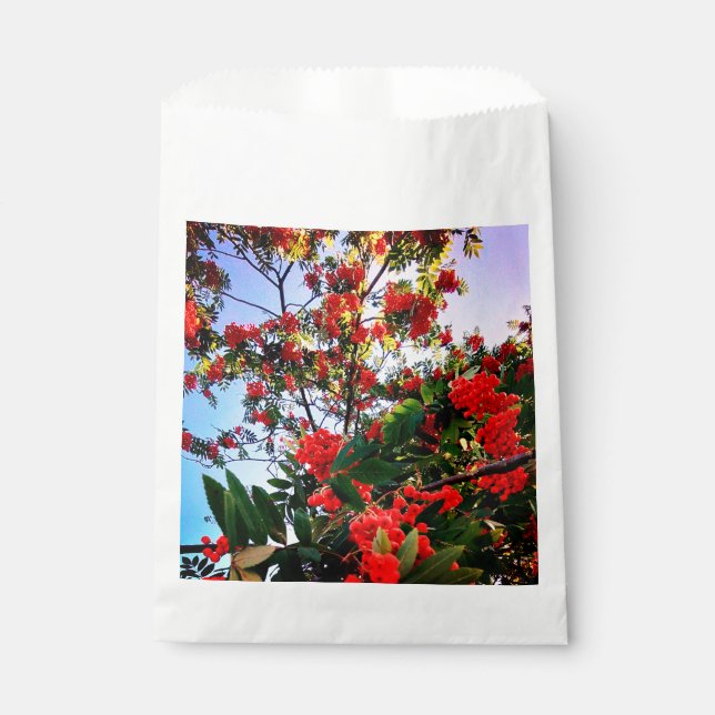 Red berries favour bag (Front)