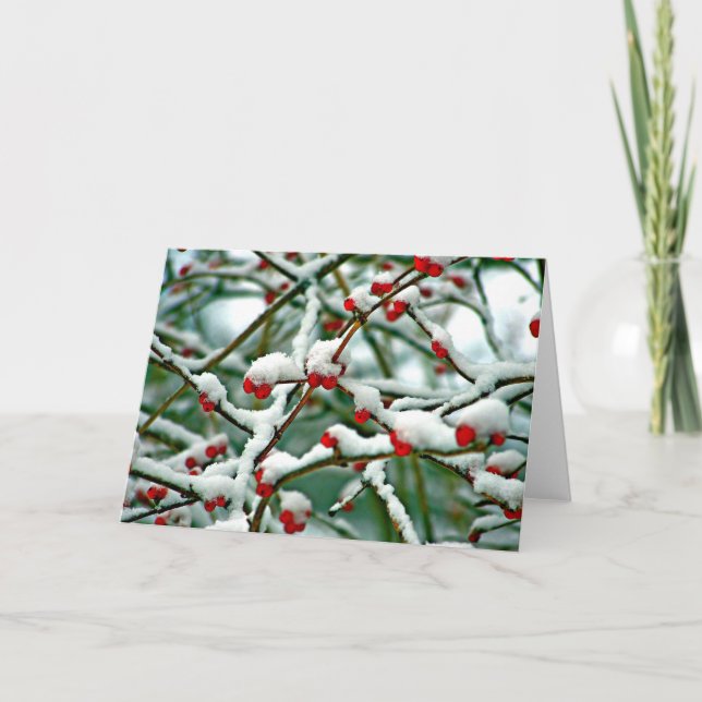 Red Berries in Snow Card (Front)