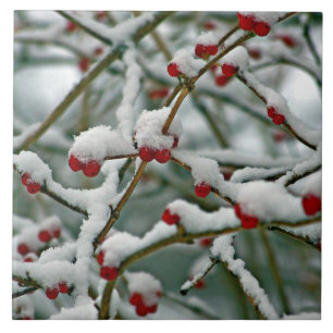 Red Berries in Winter Snow iPad Pro Cover Ceramic Tile
