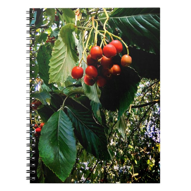 Red berries notebook (Front)