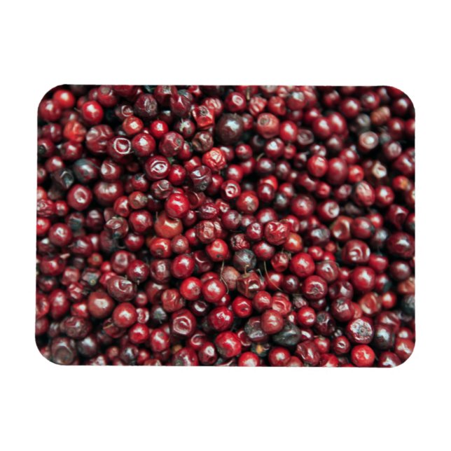 Red berries of the Himalayas Magnet (Horizontal)
