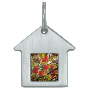 Red berries pet ID tag