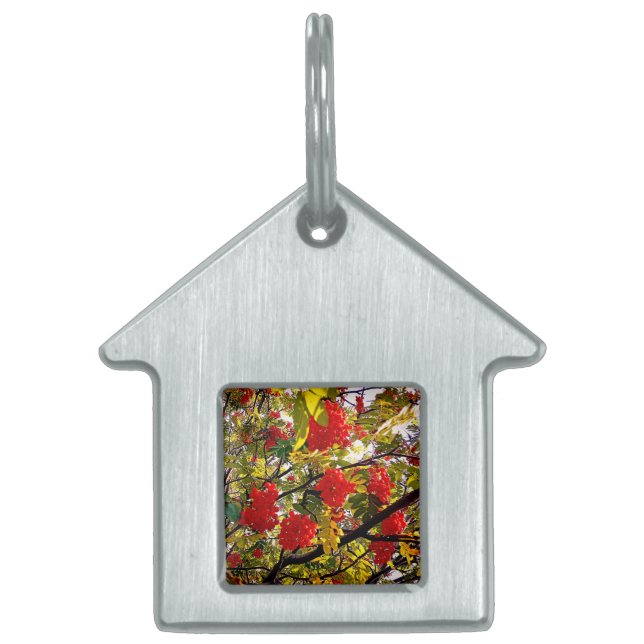 Red berries pet ID tag (Front)