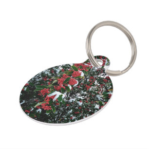Red berries pet tag