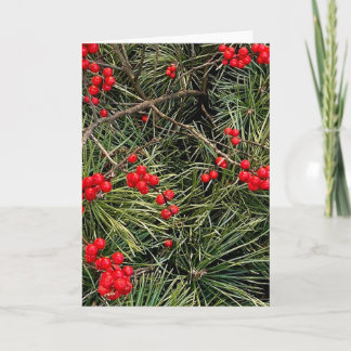 Red Berries Pine Needles Christmas  Card