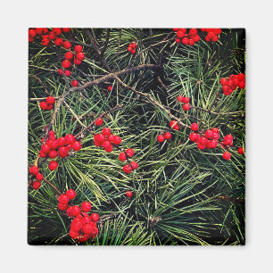 Red Berries Pine Needles Christmas Magnet