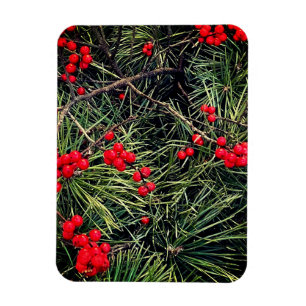 Red Berries Pine Needles Christmas Photo Magnet