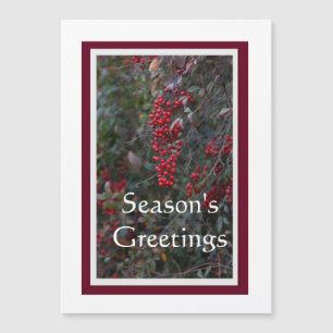Red berries Season's Greetings
