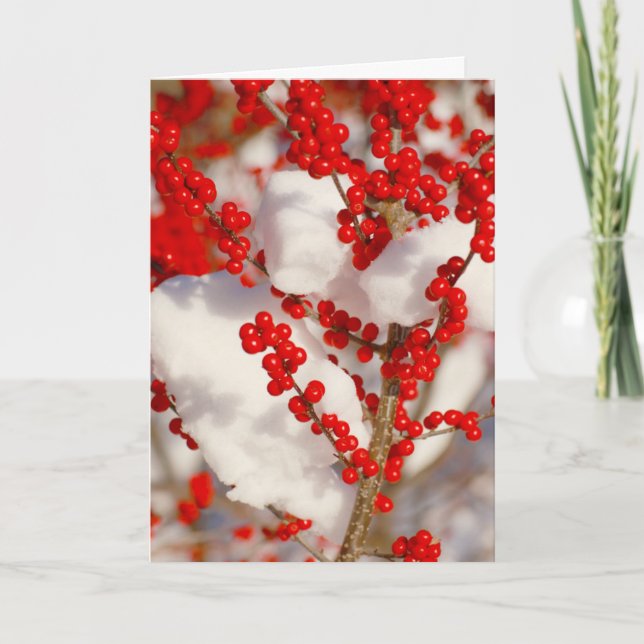 Red Berries Snow Photo Christmas Xmas Holiday Card (Front)