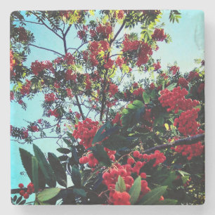 Red berries stone coaster