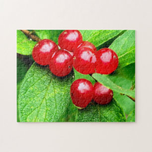 Red Berries With Raindrops Nature Jigsaw Puzzle