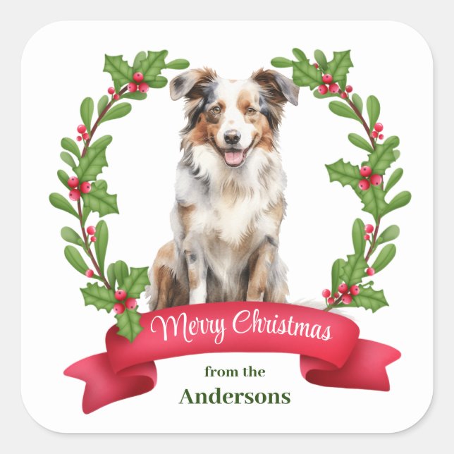 Red Berry Holly Banner Australian Shepherd Holiday Square Sticker (Front)