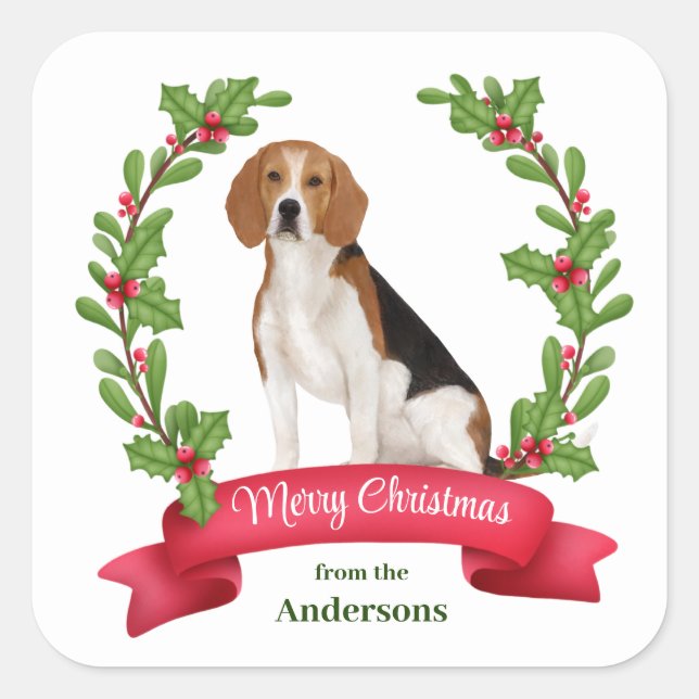 Red Berry Holly Banner Beagle Christmas Square Sticker (Front)