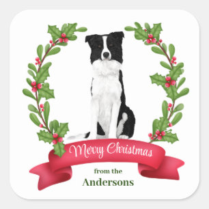 Red Berry Holly Banner Border Collie Dog Christmas Square Sticker