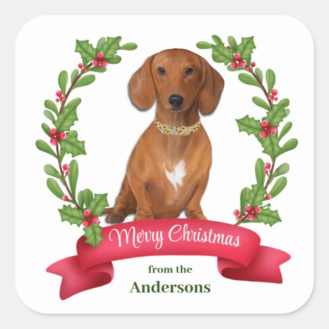 Red Berry Holly Banner Red Dachshund Christmas Square Sticker (Front)