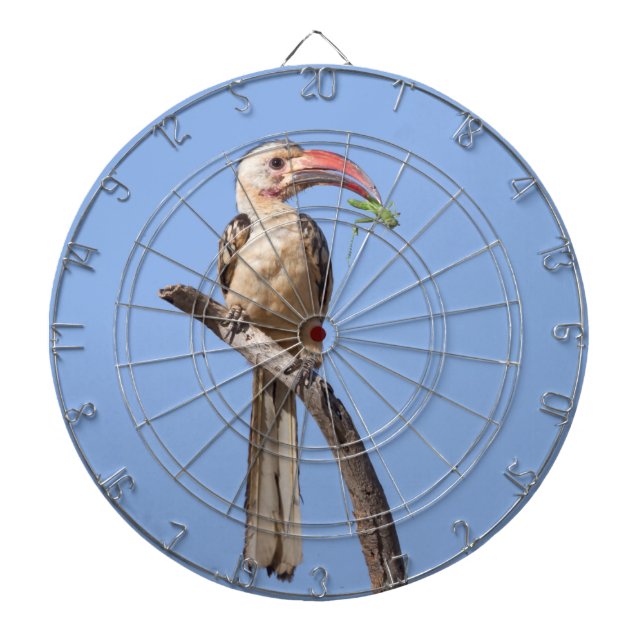 Red-billed Hornbill Dartboard (Front)