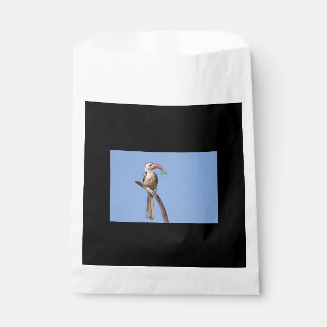 Red-billed Hornbill Favour Bag (Front)