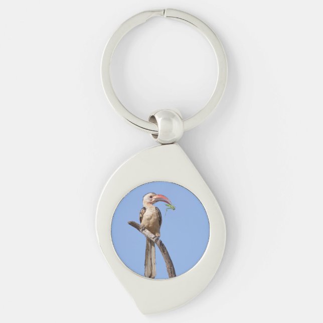 Red-billed Hornbill Key Ring (Front)
