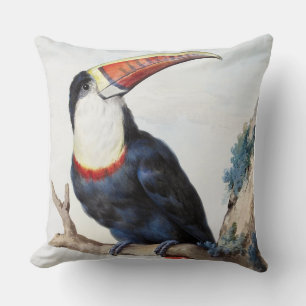 Red-billed Toucan (1748) by Aert Schouman Cushion