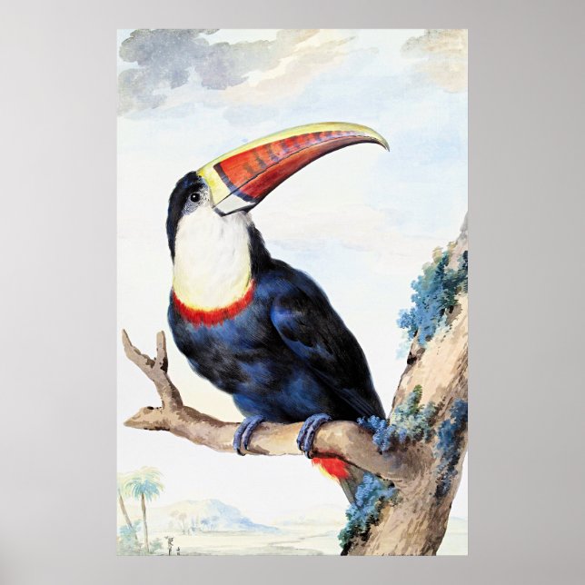 Red Billed Toucan,  Poster (Front)