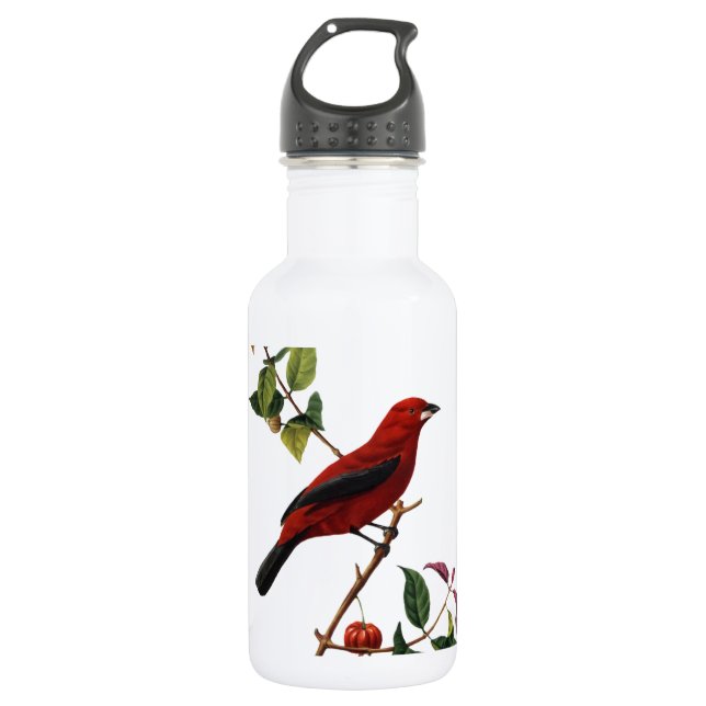 Red Bird 532 Ml Water Bottle (Front)