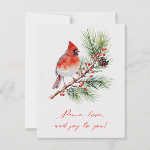Red Bird on Holly Branch Christmas Card